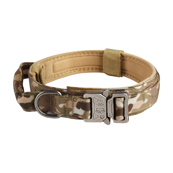 Metal Buckle Nylon Training Collar